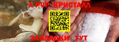 стаф Будённовск
