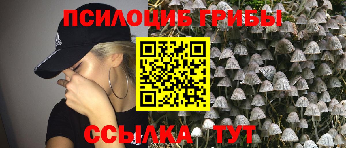 Псилоцибиновые грибы ЛСД Кинель