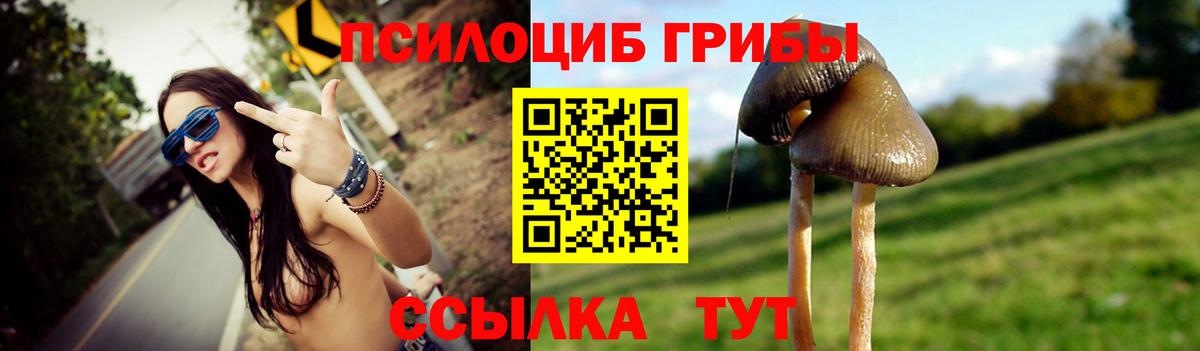 Галлюциногенные грибы Magic Shrooms  Вход с VPN  Галлюциногенные грибы ЛСД  Кинель 